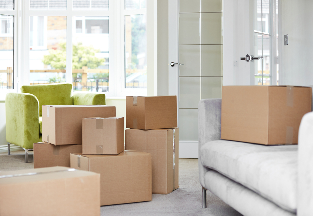 moving boxes stacked on eachother and on top of furniture