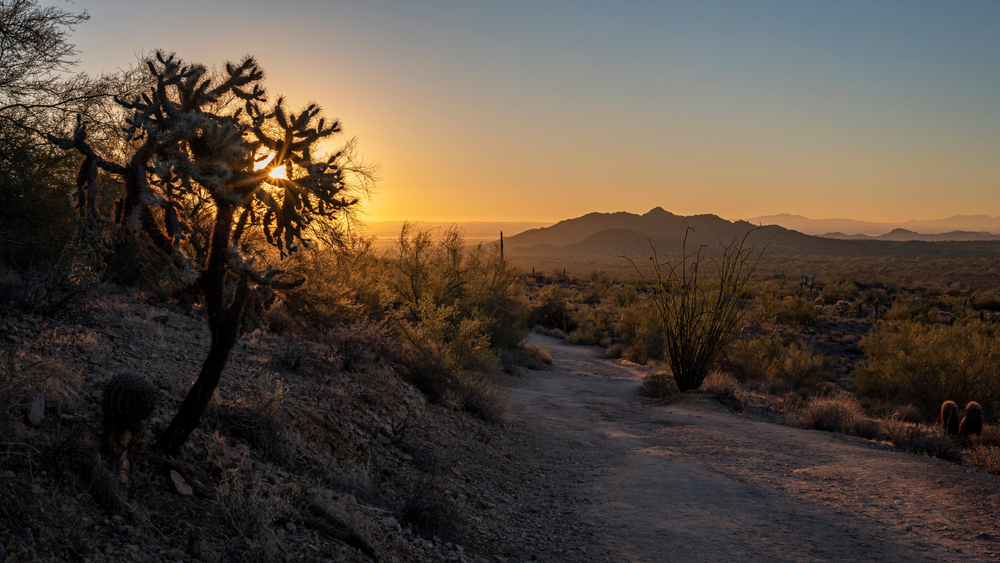 Desert with mountains in the background during a sunrise