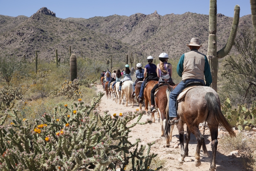 People horseback riding through the desert