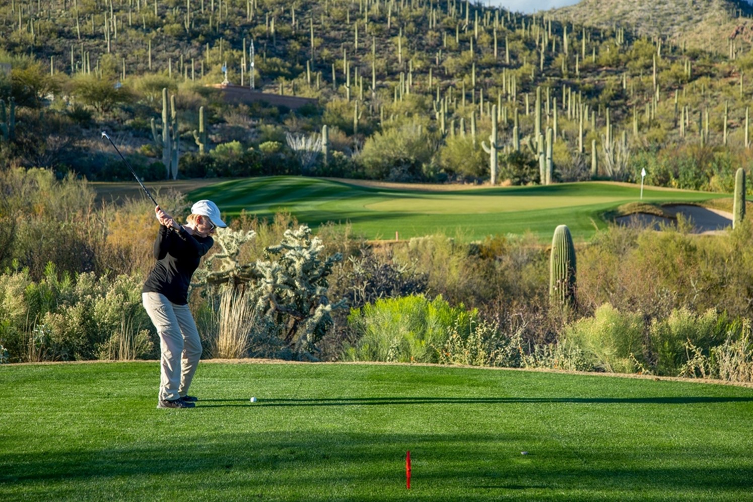 man golfing with cacti nearby